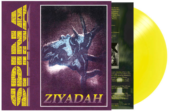 Vinyl Pre-Orders : Zen Cart!, The Art of E-commerce